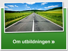 Om utbildningen